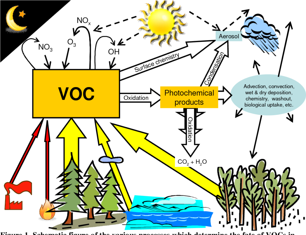 Volatile Organic Compounds Groundwater at Roslyn Jarvis blog